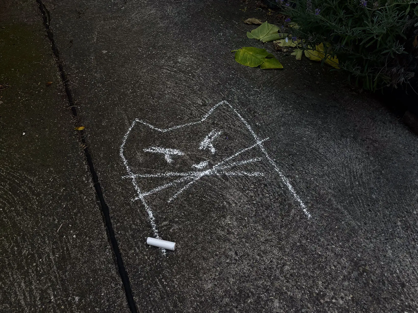 Stark vereinfachte Version des Chalk Back Logos, geeignet f&uuml;r handgezeichnete Anwendungen durch Aktivist*innen.